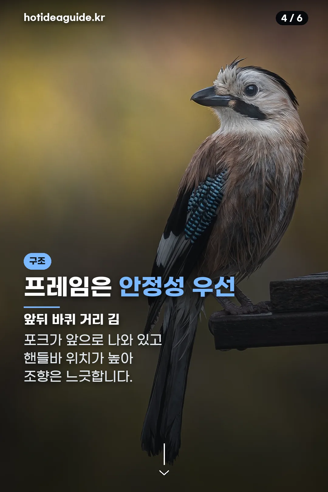 프레임 안정성 구조