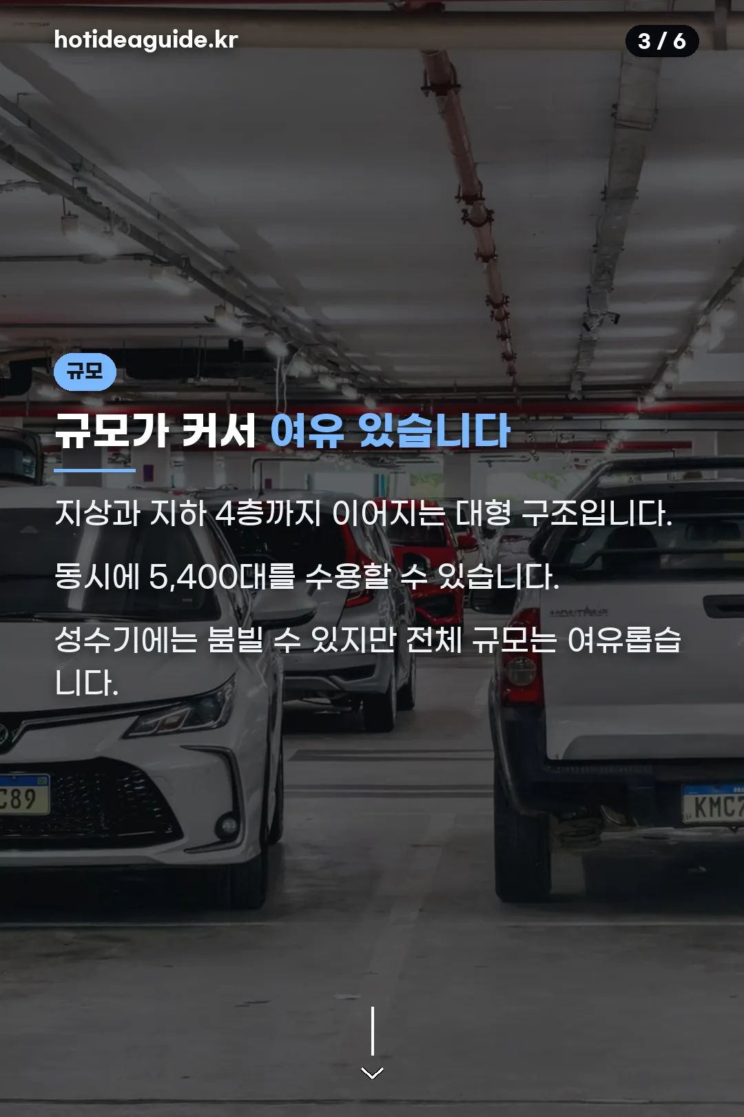 대형 주차장 규모