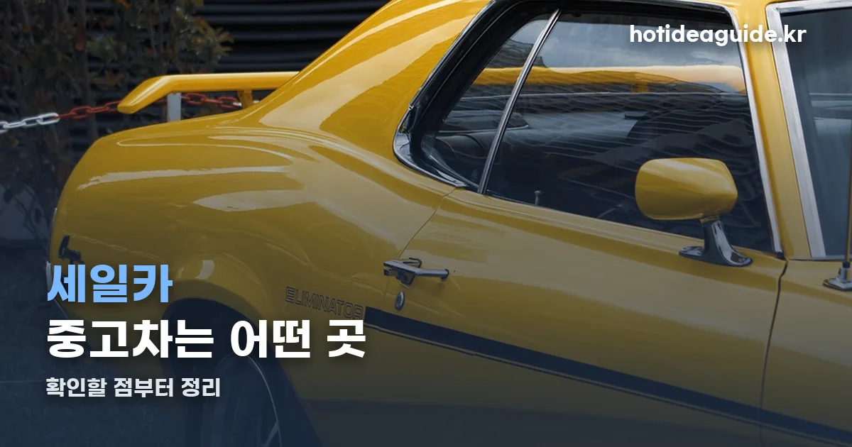 세일카 중고차 정리 썸네일