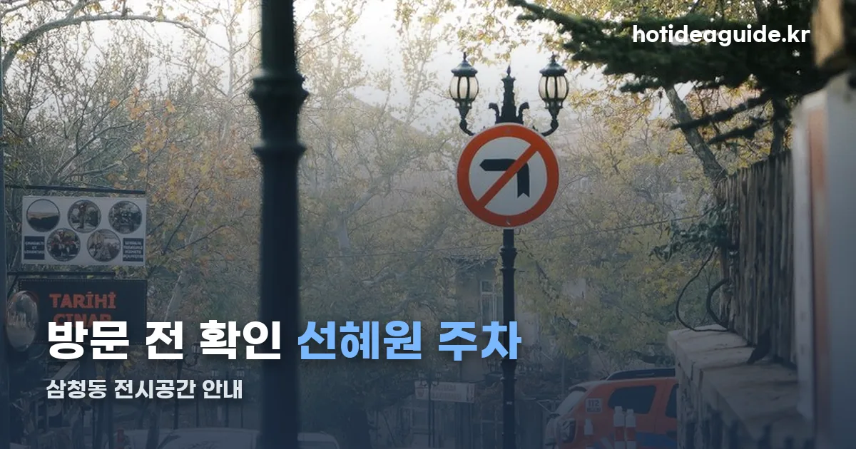 선혜원 주차 정리 썸네일