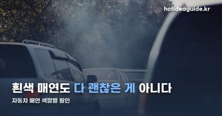 자동차 매연 정리 썸네일