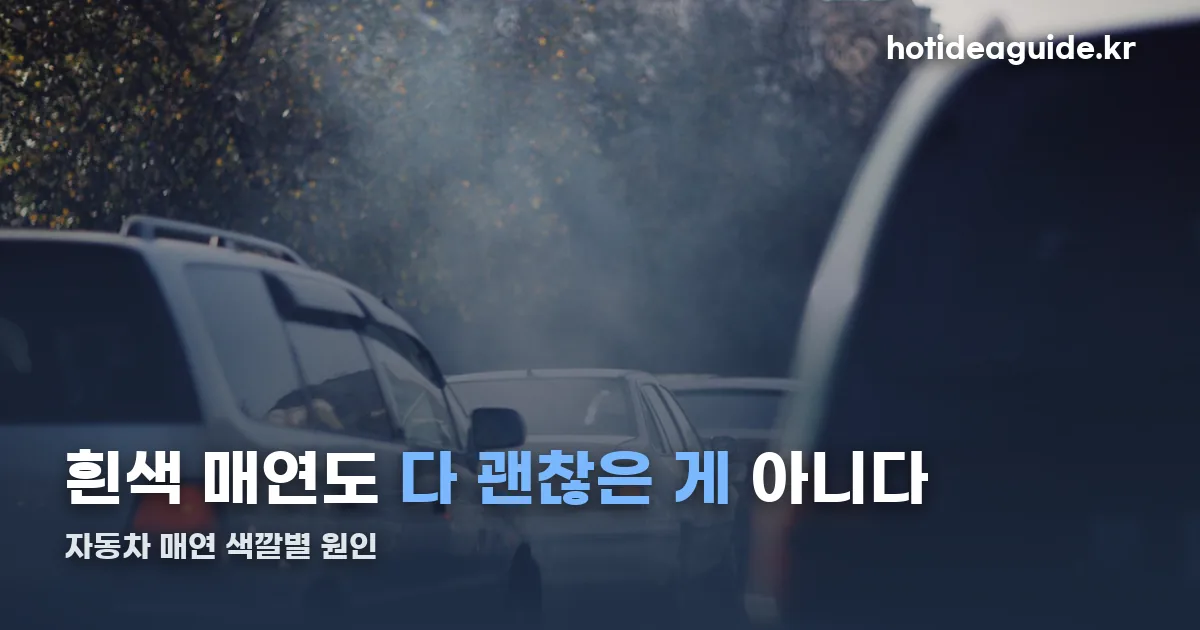자동차 매연 정리 썸네일