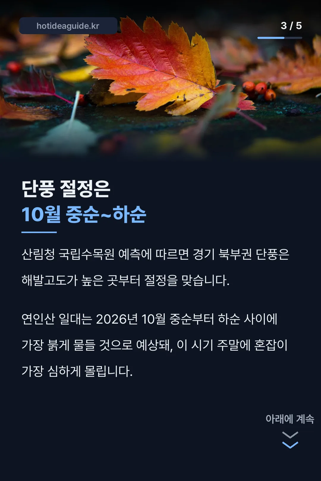 단풍 절정 시기